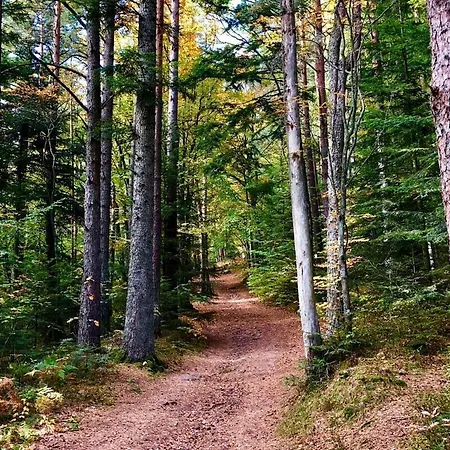 別荘 Du Petit Hohnack ラバロッシュ