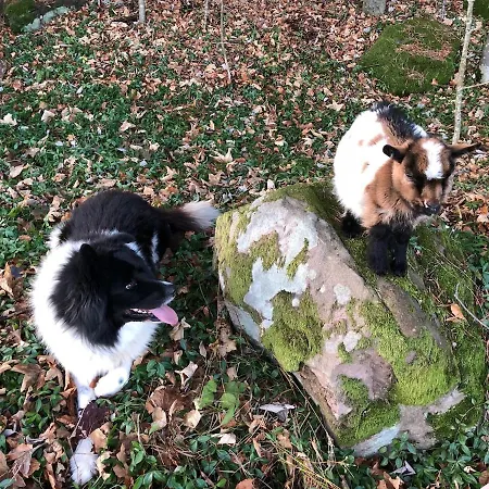 Du Petit Hohnack * ラバロッシュ