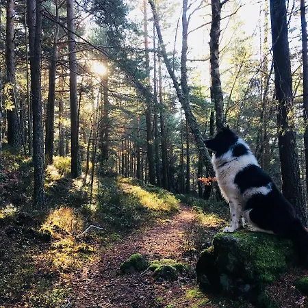 Du Petit Hohnack 別荘 *