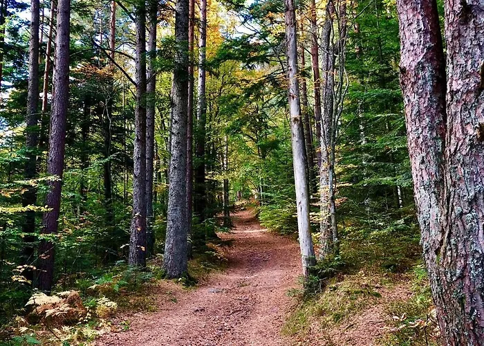 בית נופש Du Petit Hohnack לבארוש